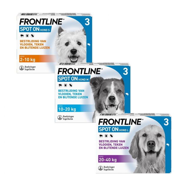 Frontline