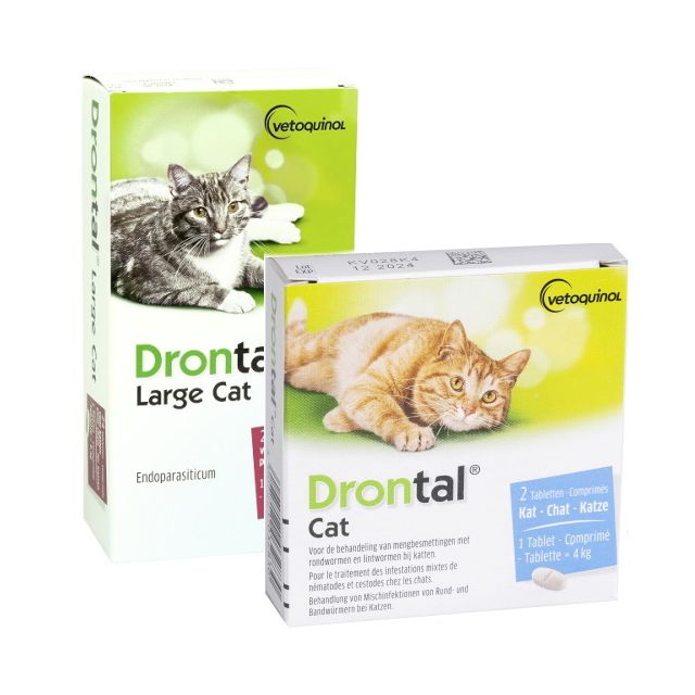 Drontal