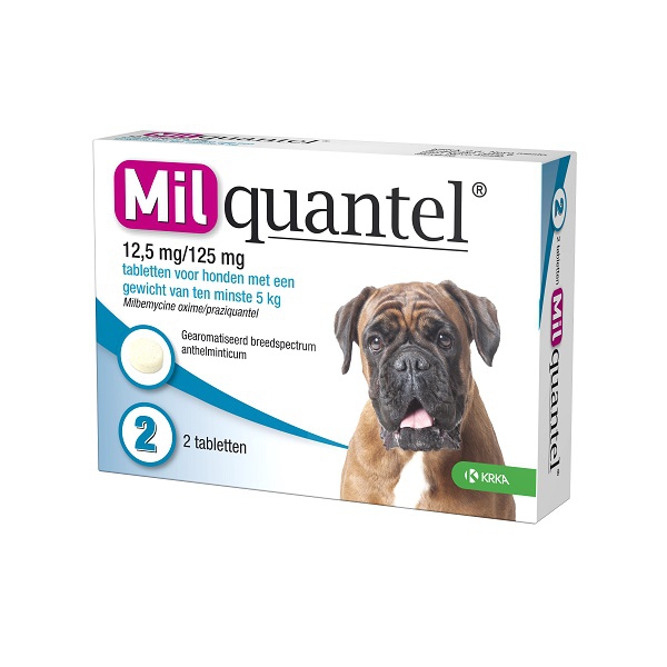 2927 Simple Zitac Vet 200 Mg 10x10 Tabletten Zitac 200 Mg