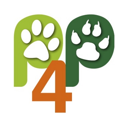 Reiseprophylaxe Fur Hunde
