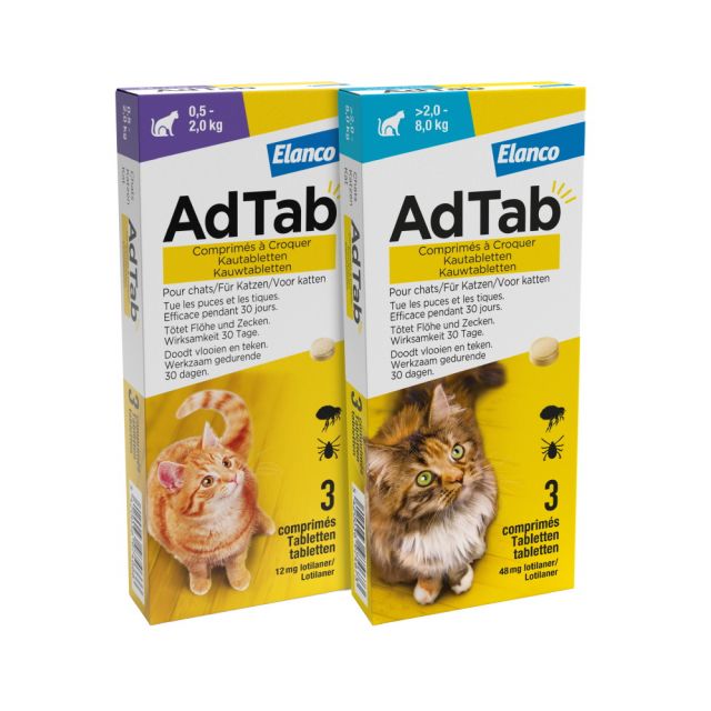 AdTab | Katze