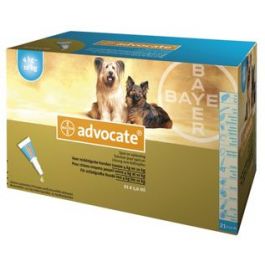 Advocate Spot-On mittelgroße Hund 4-10 kg 21 Pipetten