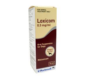 sej Fugtig ledsager Loxicom 1,5mg/ml Hund 10 ml