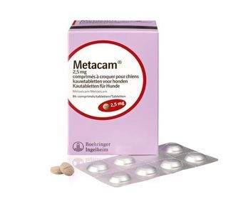 Hearty Forventer thespian Metacam Hund 2,5 mg 84 Kautabletten