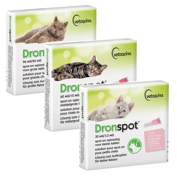 Steuerzahler Vorbereitung Die Schwäche profender wurmkur katze ...