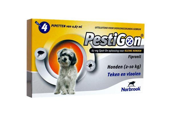 Pestigon