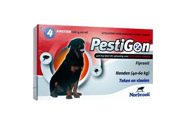 Pestigon