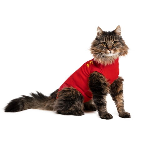 Medical Pet Shirt kat XS