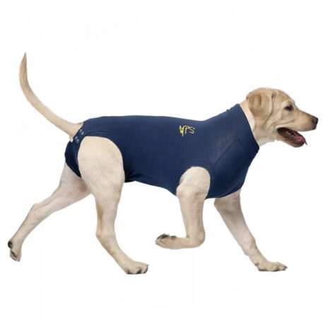 Medical Pet Shirt hond XXXS