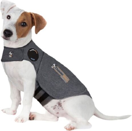 Thundershirt hond small