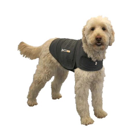 Thundershirt hond medium