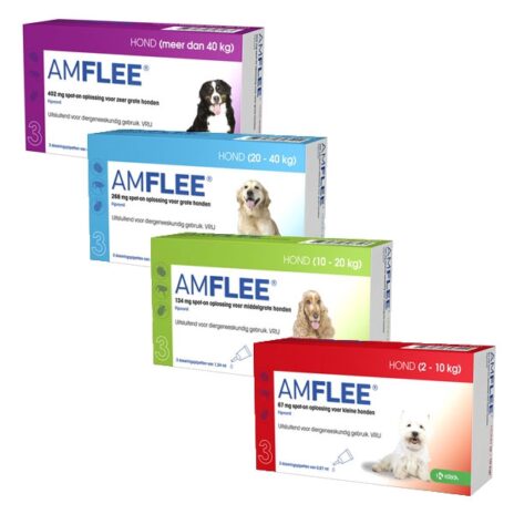Amflee Hond