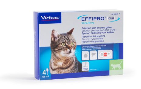 Effipro Duo Spot-On Kat < 6 kg | 4 Pipetten