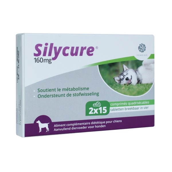 Silycure