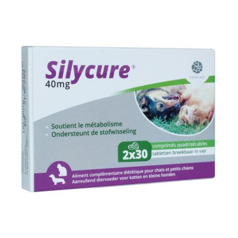 Silycure | Hond & Kat 2 x 30 tabletten 40 mg