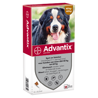 Advantix 600/3000 hond >40kg 6 pipetten