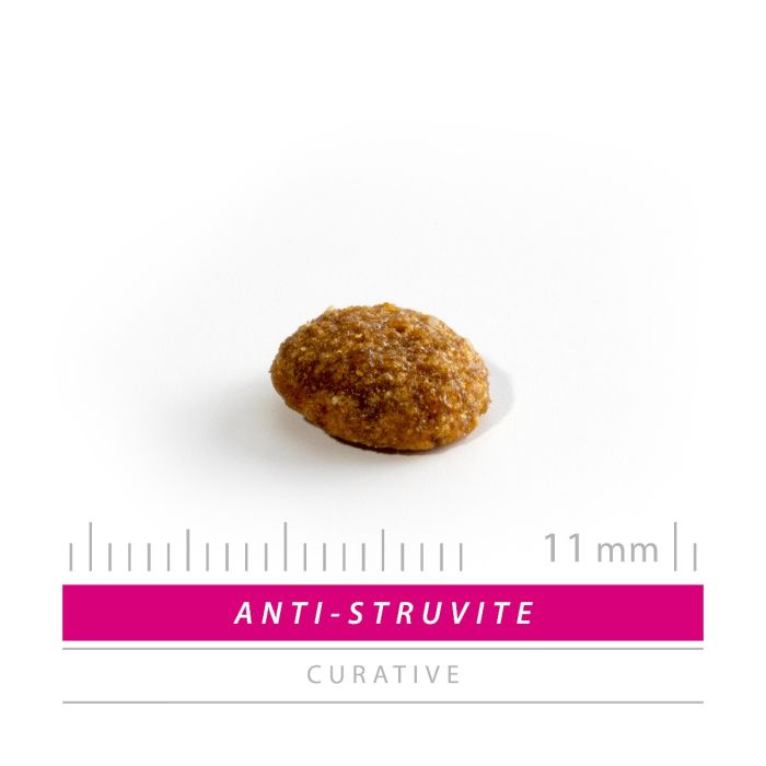 Sanimed Anti Struvite