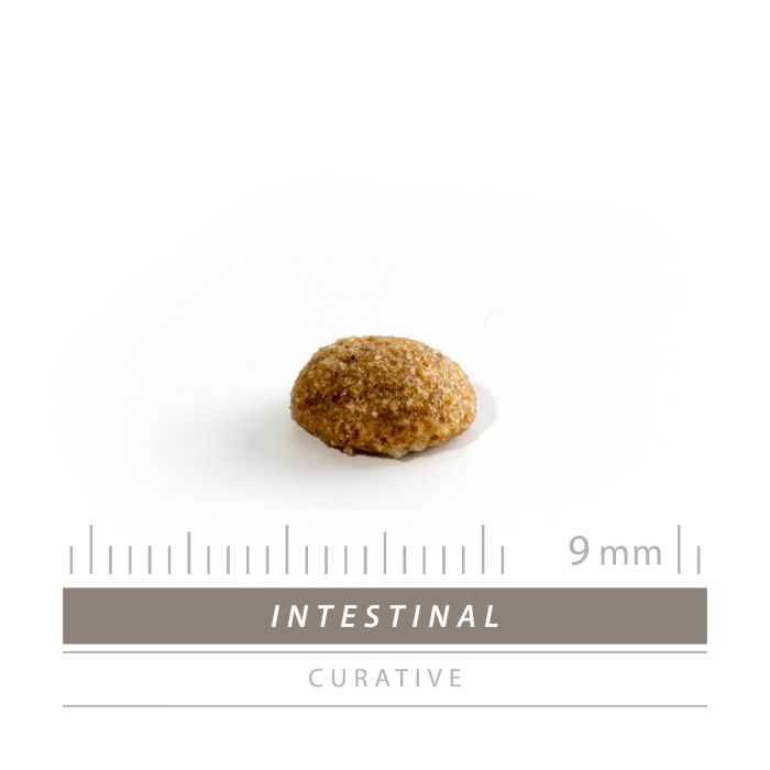 Sanimed Intestinal