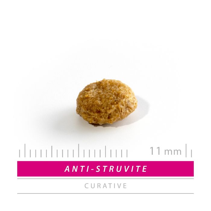Sanimed Anti Struvite