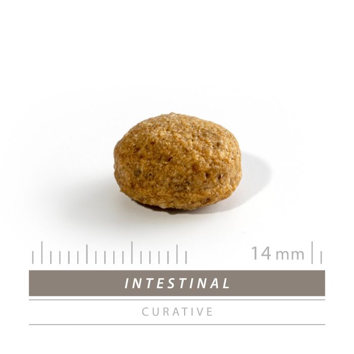 Sanimed Intestinal