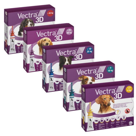 Vectra 3D hond