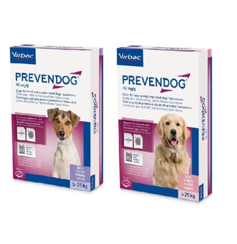 Prevendog hond