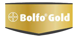 Bolfo Gold