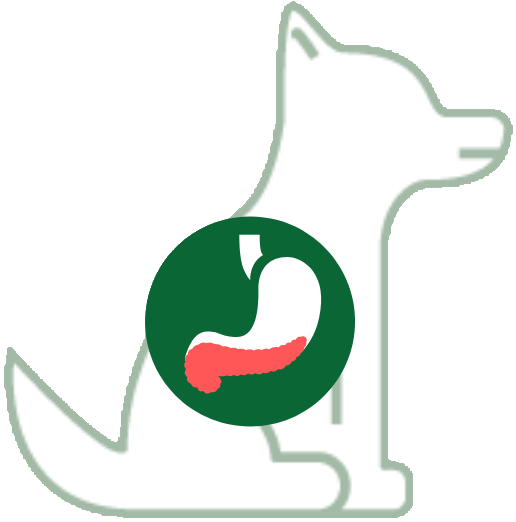Bauchspeicheldrüse