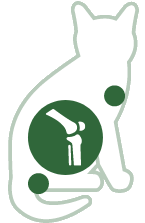 Gelenke