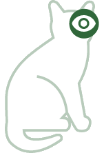 Augen