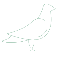Vögel