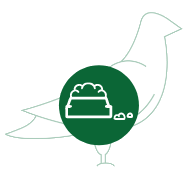 Vogelfutter