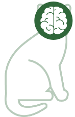 Nervensystem
