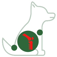 Arthrose