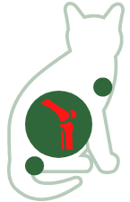Arthrose