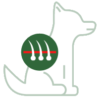 Atopische dermatitis