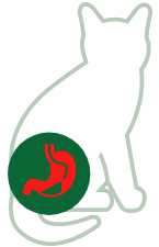 Blasenentzündung