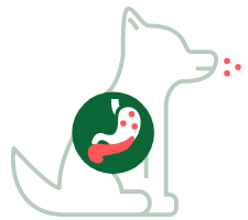 Exokrine Pankreasinsuffizienz
