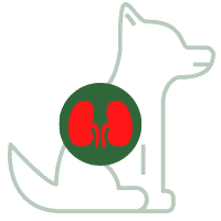 Niereninsuffizienz