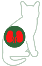 Niereninsuffizienz
