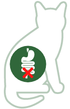 Verstopfung