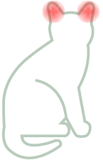 Ohrenentzündung