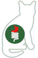 Erbrechen
