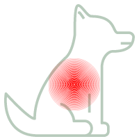 Schmerzmittel