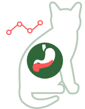 Diabetes Mellitus