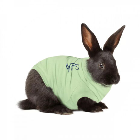 Medical Pet Shirt Konijn S
