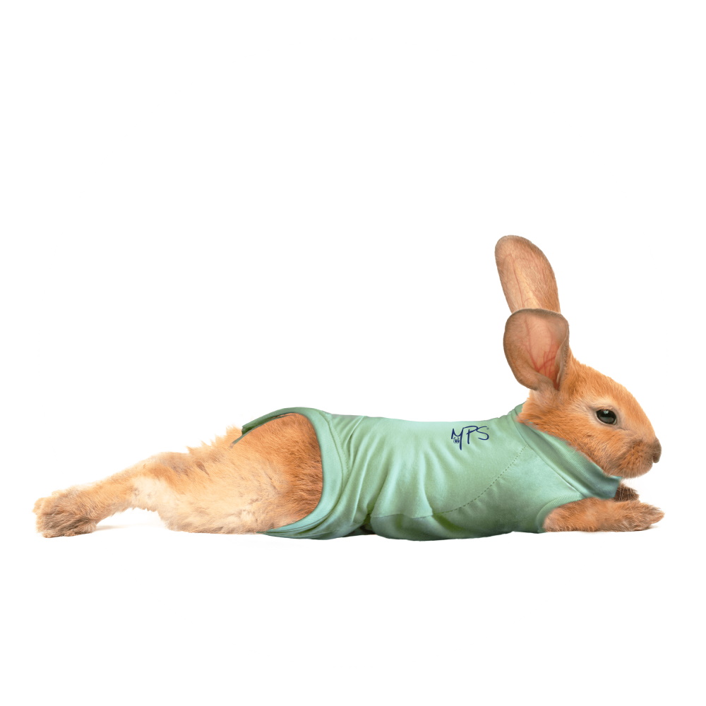 Medical Pet Shirt
