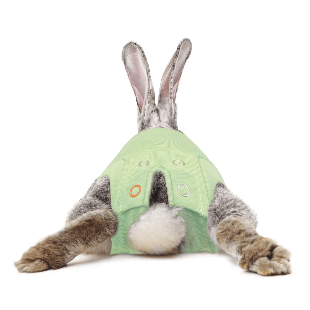 Medical Pet Shirt