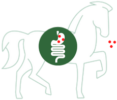 Probiotika