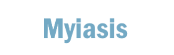 Myiasis
